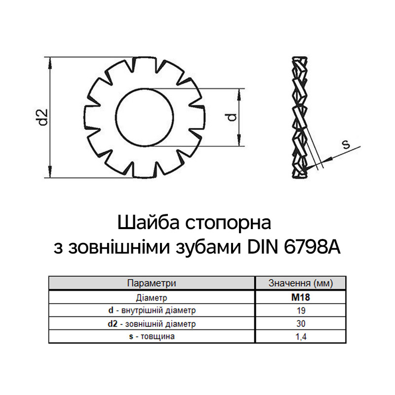 DIN6798A М18 внешний ⌀30мм толщина 1,4мм сталь шайба стопорная зубчатая цинк белый (10 шт.) [7V20000007V1820000] Metalvis