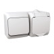 Cedar Plus - Schneider Electric Cedar Plus - Schneider Electric