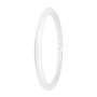 Лампа LED 24W 220V 2900lm 6500K G10q 400х400mm кольцо [4099854042584] LEDVANCE LEDTUBE T9C EM V