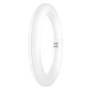 Лампа светодиодная 11W 220V 1320lm 6500K G10q ⌀212mm кольцо [4099854042485] LEDVANCE LED TUBE T9 EM V