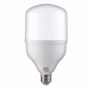 Лампа светодиодная 30W 220V 2400 lm 6400K E27 100х171mm сверхмощная [001-016-0030-012] TORCH-30 HOROZ