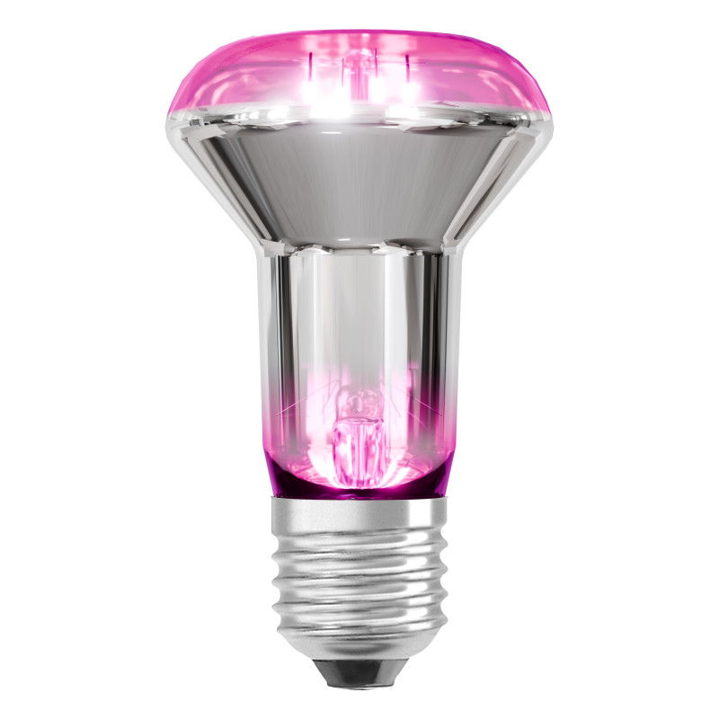 Лампа светодиодная 7,5W 220V 140lm 1300K E27 филаментная 63x100mm для растений [4099854245138] OSRAM GROW LAMP R63
