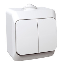 Выключатель накладной 2-клавишный IP44 белый [WDE000550] PA6 FR850 Cedar Plus Шнейдер Электрик