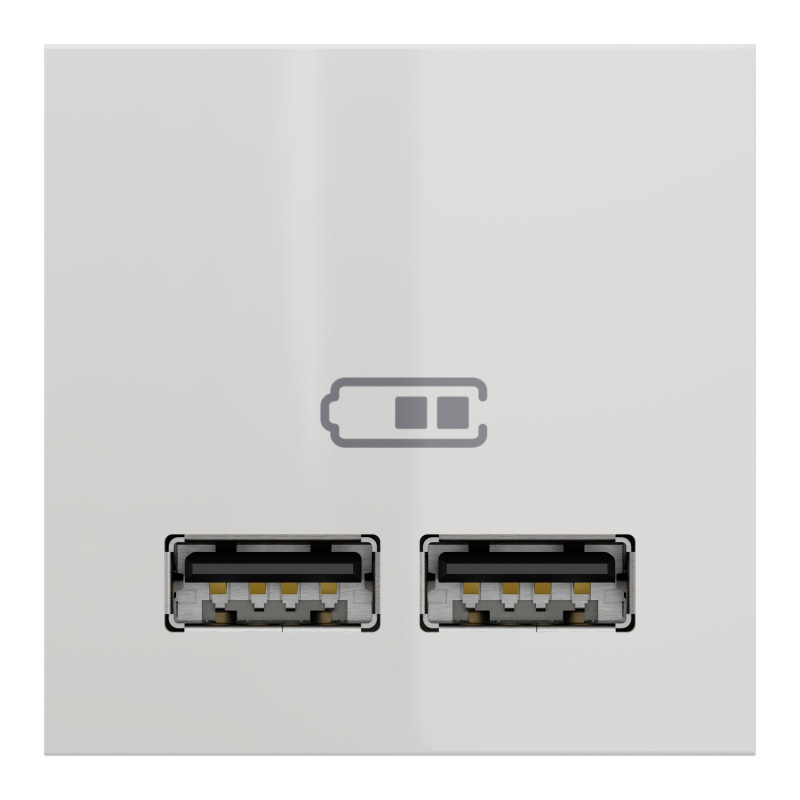 Розетка USB подвійна 2.1А 2 модулі біла [NU341818] PC Unica New Шнейдер Електрік