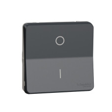 Механизм переключателя двохполюсный IP55 черный [MUR35034] SEBSABS Mureva Styl Schneider Electric
