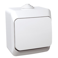 Выключатель-кнопка накладная 1-клавишная IP44 белая [WDE000511] PA6 FR850 Cedar Plus Шнейдер Электрик