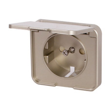 Панель для розетки с крышкой никель [ins0040081] E.NEXT e.lux.12391А.pn.wp.nikel