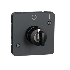 Механизм выключателя с ключом на 2 положения IP55 черный [MUR35062] ABS Mureva Styl Schneider Electric