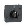Механизм выключателя с ключом на 2 положения IP55 черный [MUR35062] ABS Mureva Styl Schneider Electric