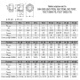 DIN935 М18 сталь 8 мелкий шаг 1,5 под ключ 27мм гайка корончатая цинк белый [6KR2000006KR182001] Metalvis