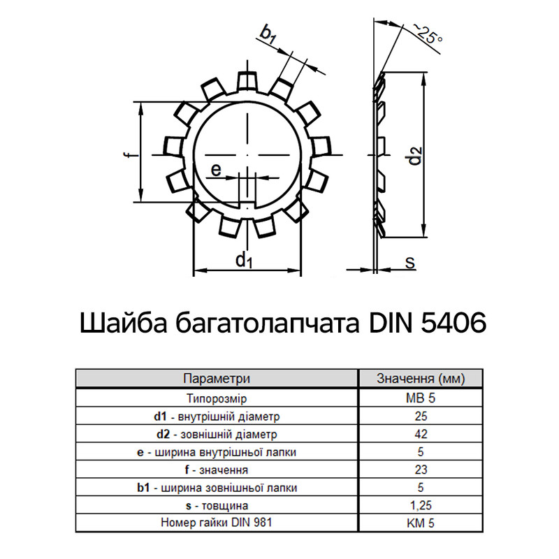 DIN5406 М25 внешний ⌀42мм толщина 1,25мм сталь шайба стопорная многолапчатая цинк белый (25 шт.) [7R00000007C0502520] Metalvis