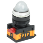 Лампа сигнальная 22мм белый неон 240V AC [BLS20-AL-K01] AL-22 УЕК