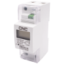 Однофазный электронный счетчик 100А класс 1 LCD дисплей [Б00044053] DDS226D-2P CNC