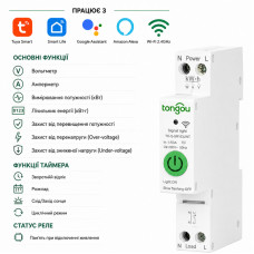 WiFi умный-выключатель с полной защитой, счетчиками, таймером 1P+N 63A 230V Smart Life, Tuya [TO-Q-SR163JWT] Tongou