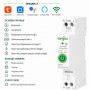 WiFi розумний-вимикач з повним захистом, лічильниками, таймером 1P+N 63A 230V Smart Life, Tuya [TO-Q-SR163JWT] Tongou
