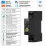 WiFi розумний-вимикач розширені функції, повним захистом, лічильниками, таймером 1P+N 1-63A 230V Smart Life, Tuya [GYDZT-1PNL 63DJ] Geya