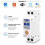 WiFi умный-выключатель, только таймер 1P+N 63A 230V Smart Life, Tuya [TOB9S-63S-63A] Tomzn