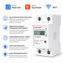 WiFi розумне-реле з повним захистом, лічильниками, таймером 1P+N 60A 230V Smart Life, Tuya [WDS688] Sinotimer