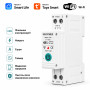 WiFi розумний-вимикач з лічильниками, таймером 1P+N 63A 230V Smart Life, Tuya [WCB1-J-63] Sinotimer