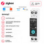 ZigBee умный-выключатель с счетчиками, таймером 1P+N 25A 230V Smart Life, Tuya [TO-Q-SY1-JZT-25A] Tongou