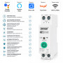 WiFi умный-выключатель с полной защитой, счетчиками, таймером 1P+N 1-63A 230V Smart Life, Tuya [DGB-63TT] DiyGo