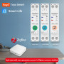 ZigBee умный-выключатель, только таймер 1P+N 32A 230V Smart Life, Tuya [TXCB2-TW-Z-32A] Taxnele