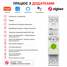 ZIgBee умный-выключатель с полной защитой, функция УЗО, счетчиками, таймером 1P+N 63A 230V Smart Life, Tuya [RMDZB-1PNL 63JL] RMshebei