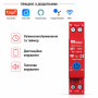 WiFi умный-выключатель, только таймер 1P+N 63A 230V Smart Life, Tuya [RMDZT-1PNL 63T] RMshebei