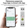 WiFi розумний-вимикач розширені функції з захистом, лічильниками, таймером 1P+N 63A 230V Smart Life, Tuya [WCB1-JL-63] Sinotimer