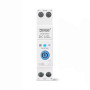 WiFi розумний-вимикач, тільки таймер 1P+N 40A DC 8-90V Smart Life, Tuya [DGB-D40T] DiyGo