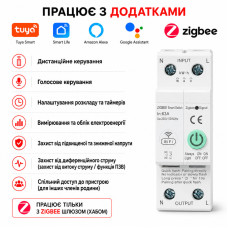 ZIgBee умный-выключатель с полной защитой, функция УЗО, счетчиками, таймером 1P+N 63A 230V Smart Life, Tuya [WTDZZ-J-2P] RMshebei