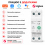 ZIgBee умный-выключатель с полной защитой, функция УЗО, счетчиками, таймером 1P+N 63A 230V Smart Life, Tuya [WTDZZ-J-2P] RMshebei