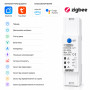 ZigBee умный-выключатель с полной защитой, счетчиками, таймером 1P+N 63A 230V Smart Life, Tuya [DDS238-1-Z1] Tomzn