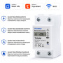 WiFi умное-реле с полной защитой, счетчиками, таймером 1P+N 60A 230V Smart Life, Tuya [TXM08] Taxnele