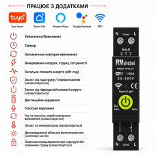 WiFi умный-выключатель расширенные функции, полной защитой, счетчиками, таймером 1P+N 63A 230V Smart Life, Tuya [RMDZT-1PNL 63DJ] RMshebei