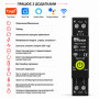 WiFi умный-выключатель расширенные функции, полной защитой, счетчиками, таймером 1P+N 63A 230V Smart Life, Tuya [RMDZT-1PNL 63DJ] RMshebei