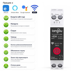 WiFi умный-выключатель с полной защитой, счетчиками, таймером 1P+N 1-63A 230V eWeLink [TO-Q-SY2-JWE] Tongou