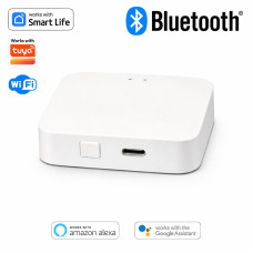 Bluetooth Hub для розумного будинку Wi-Fi сумісний з Smart Life, Tuya [Hub-BT-C] Tuya