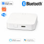 Bluetooth Hub для умного дома Wi-Fi совместим с Smart Life, Tuya [Hub-BT-C] Tuya